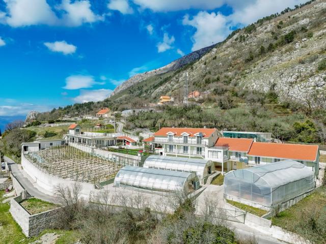 Farmhouse with open sea view, Kotor, Mirac