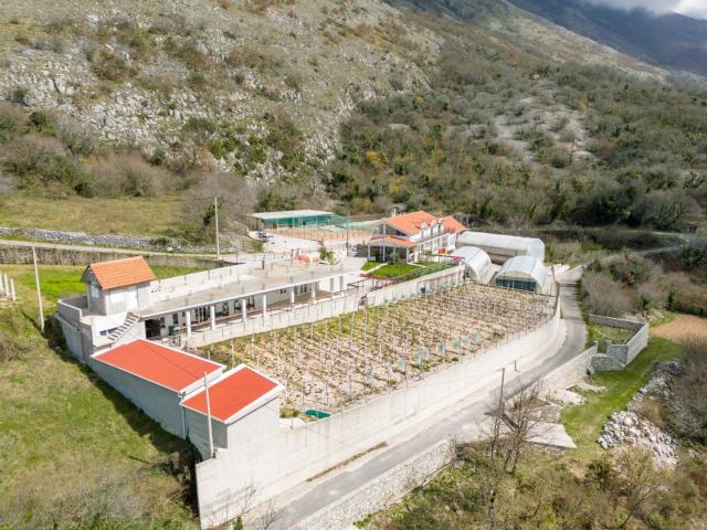Farmhouse with open sea view, Kotor, Mirac
