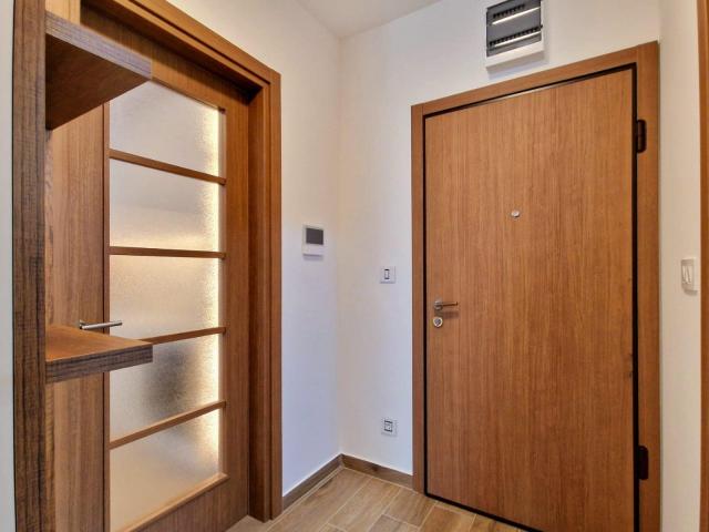 Furnished one-bedroom apartment with garage space in