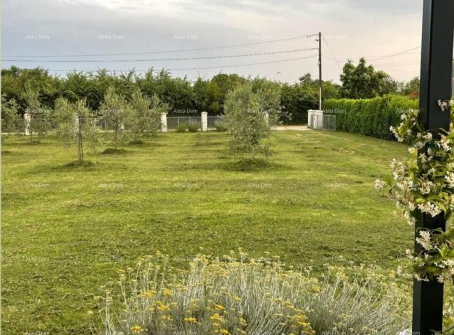 Building land MARČANA! LOBORIKA - CONSTRUCTION LAND WITH OLIVE GROVE