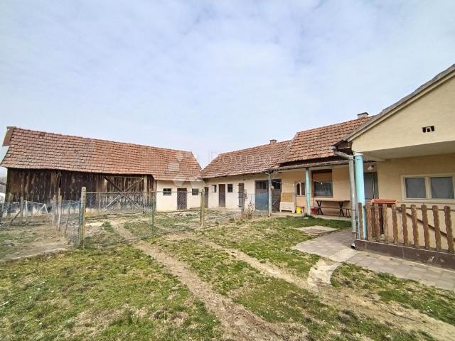 Obiteljska kuća s gospodarskim zgradama u Kozarevcu