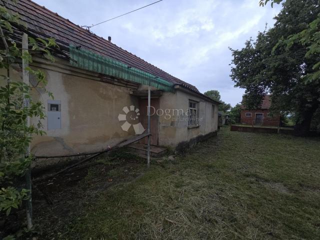 Kopija od Zvonimirovac – kuća s velikom parcelom i vinogradom