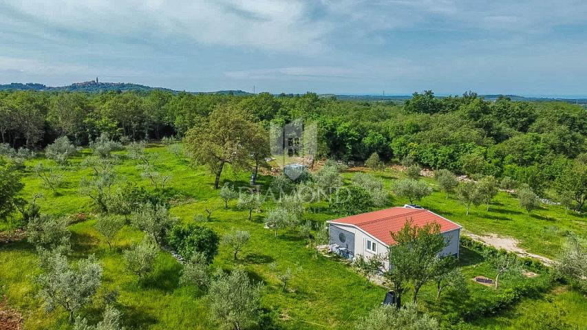 Buje, Kaštel, predivno građevinsko zemljište 1.283 m2 