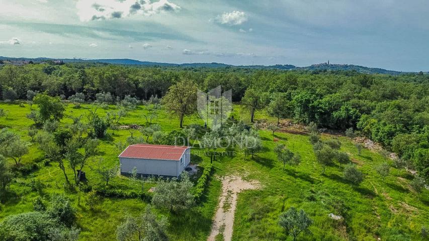 Buje, Kaštel, predivno građevinsko zemljište 1.283 m2 