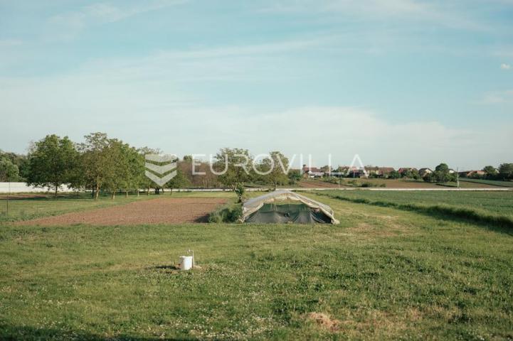 Nuštar, prostrana obiteljska kuća 280 m², na zemljištu od 5684 m²