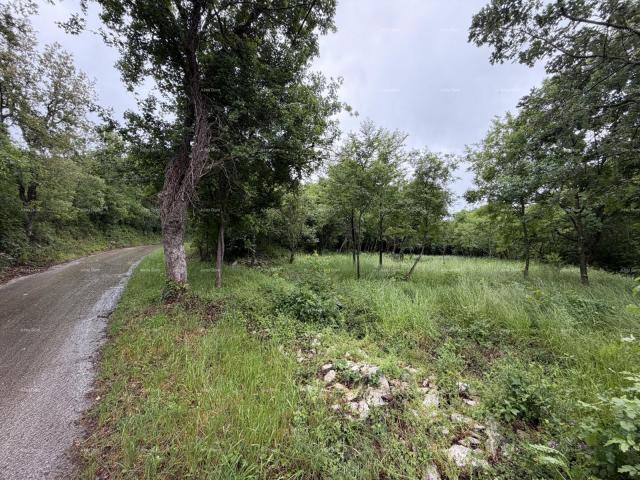 Građevinsko zemljište Buje – građevinsko zemljište 1.086 m² s pogledom na more