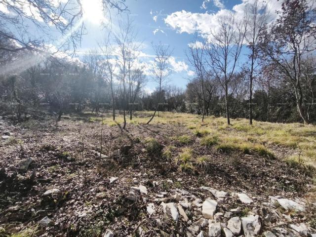 Građevinsko zemljište Buje – građevinsko zemljište 1.086 m² s pogledom na more