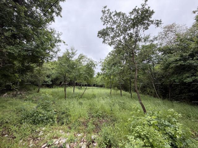 Građevinsko zemljište Buje – građevinsko zemljište 1.086 m² s pogledom na more