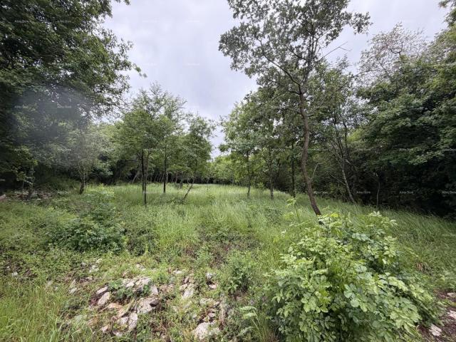 Građevinsko zemljište Buje – građevinsko zemljište 1.086 m² s pogledom na more