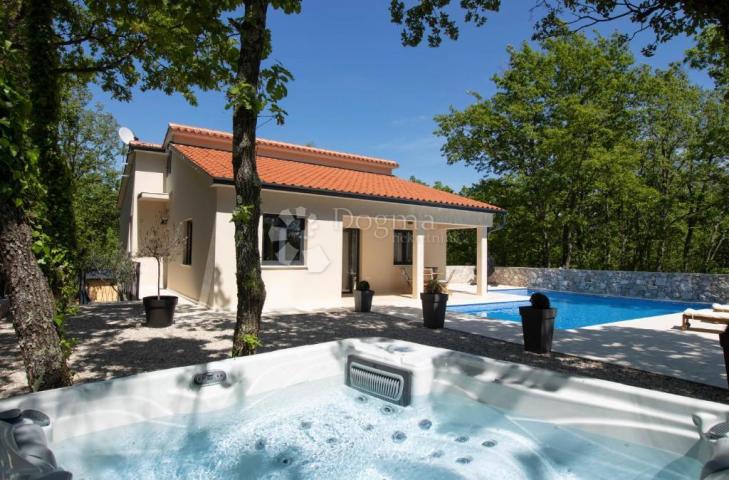 LABIN, OSIGURANA PRIVATNOST-vila okružena prirodom, grijani bazen, sauna i jacuzzi