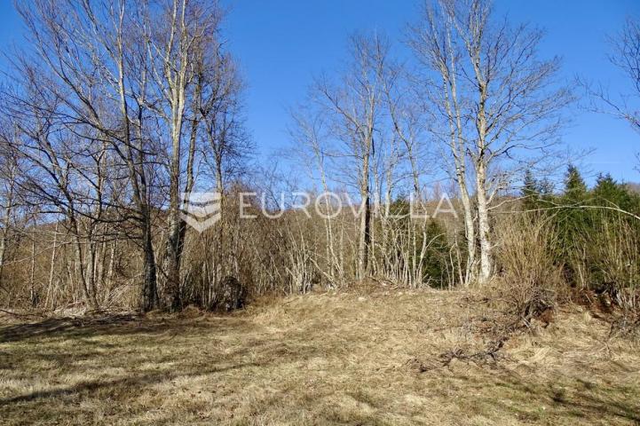 Delnice, poljoprivredno zemljište površine 2694 m²