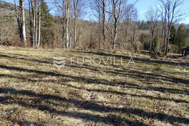Delnice, poljoprivredno zemljište površine 2694 m²
