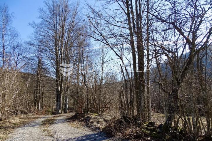Delnice, poljoprivredno zemljište površine 2694 m²
