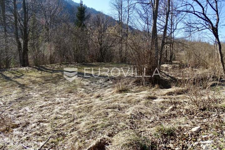 Delnice, poljoprivredno zemljište površine 2694 m²