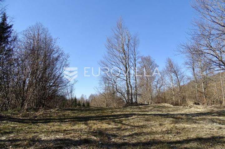 Delnice, poljoprivredno zemljište površine 2694 m²