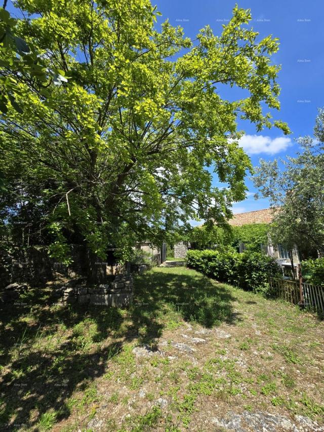 Kuća Rakalj, kamena kuća s 1.920 m² građevinskog zemljišta