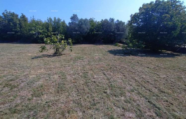 Kuća Rakalj, kamena kuća s 1.920 m² građevinskog zemljišta