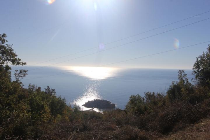A plot with sea view in Budva