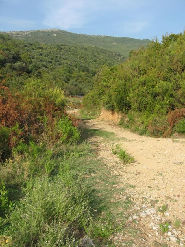Land in Herceg Novi