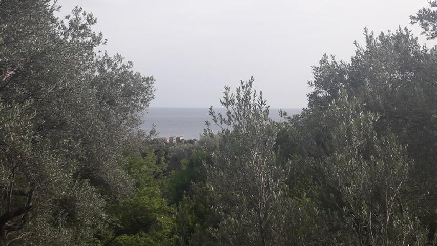 Land in Budva