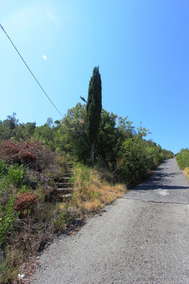 Plot in Bigovo
