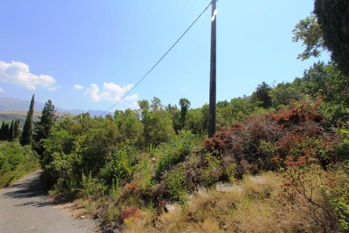 Plot in Bigovo