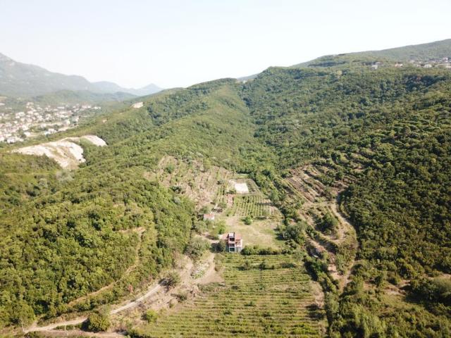 Plot in Radanovići, 83,000 m²