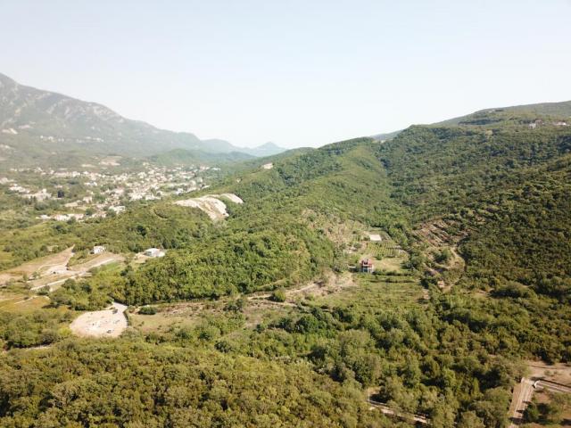 Plot in Radanovići, 83,000 m²