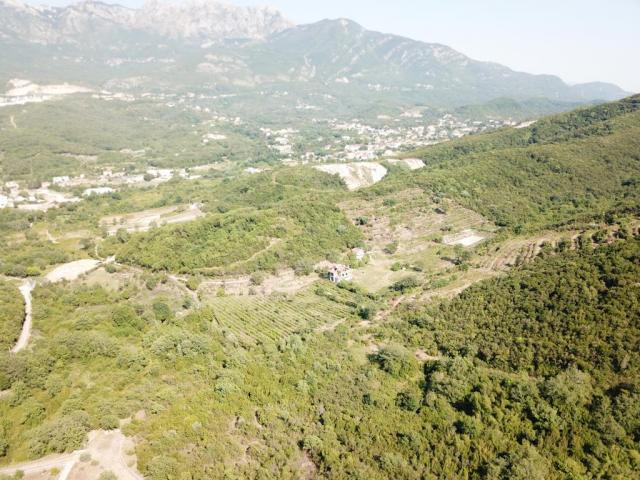 Plot in Radanovići, 83,000 m²