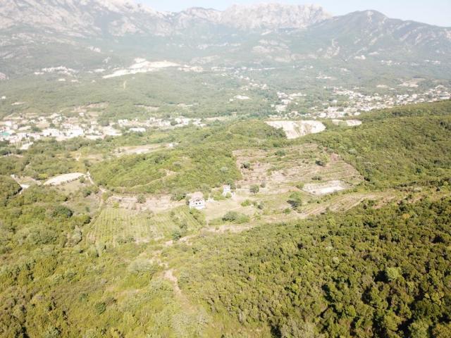 Plot in Radanovići, 83,000 m²
