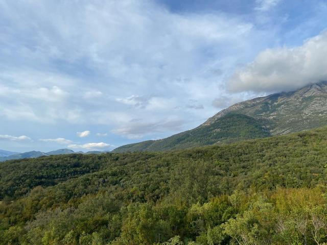 Land in Radanovići 506 m²