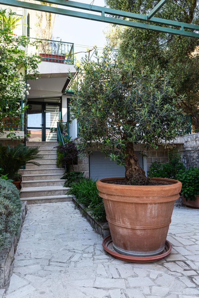 Spacious house in Budva