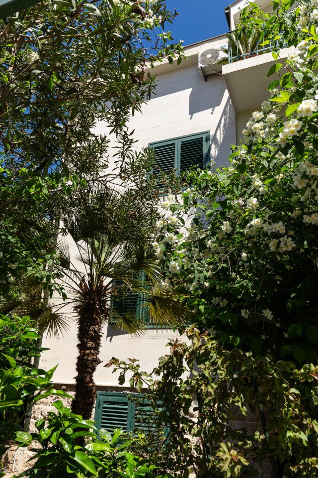 Spacious house in Budva