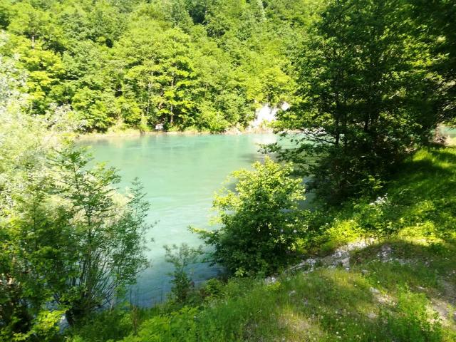 Plot on the bank of the river Tara