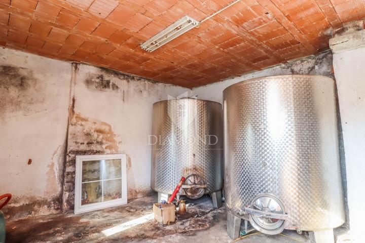 Istra, Novigrad, okolica, autohtona istarska kuća uz more!