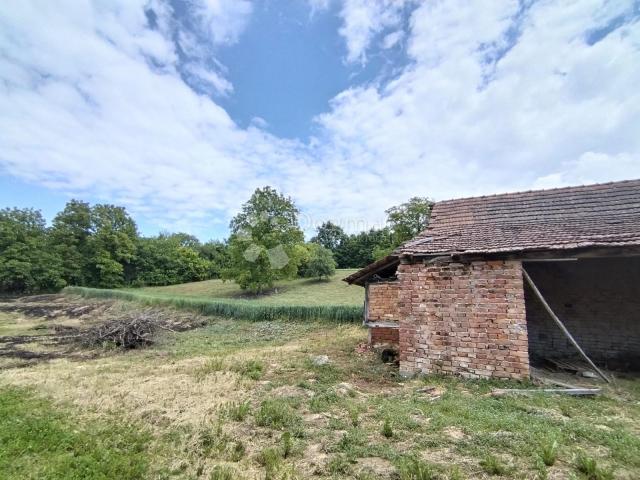 Zemljišta 5.310 m² – mir i priroda nadomak Preseke