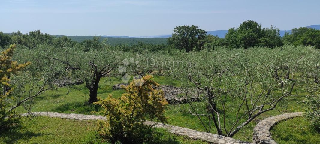 House Brusići, Krk, 637m2