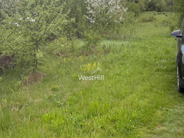 Kuća i plac od 45.500 m² u Pljevljima, Crna Gora
