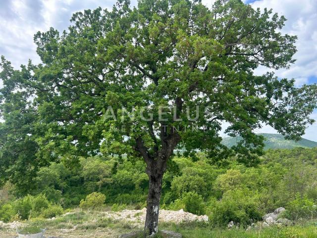 Trolokve - poljoprivredno zem sa kamenom kućom, 26.000 m2, PRODAJA