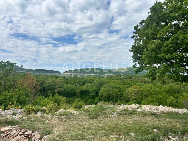 Trolokve - poljoprivredno zem sa kamenom kućom, 26.000 m2, PRODAJA