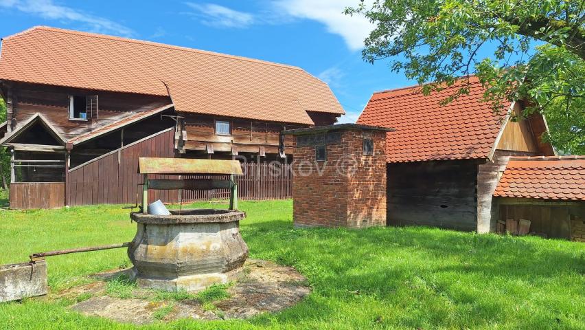Prodaja, Popovača, tradicijska drvena kuća 183m2 + pomoćni objekti