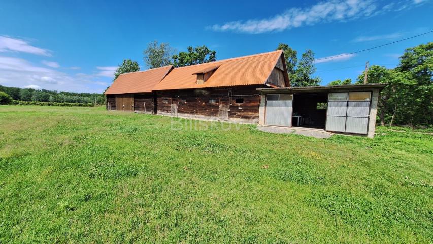 Prodaja, Popovača, tradicijska drvena kuća 183m2 + pomoćni objekti