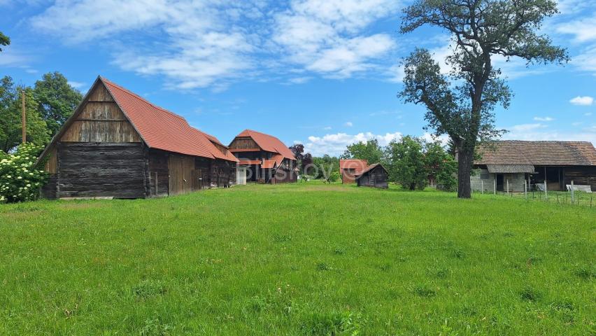 Prodaja, Popovača, tradicijska drvena kuća 183m2 + pomoćni objekti