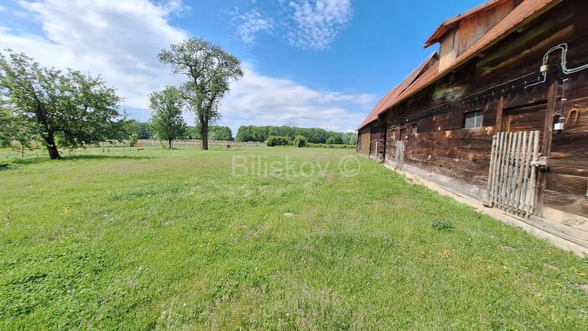 Prodaja, Popovača, tradicijsko imanje s drvenom kućom 183m2, pom. objekti