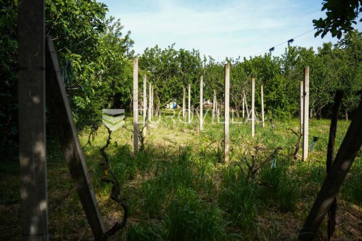 Tovarnik, izuzetna prilika, prostrana kuća s tri stana i okućnicom od 1.949 m²