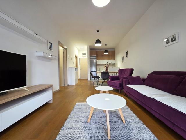 Jednosoban lijepo namješten stan, 52m2, Centar, Podgorica