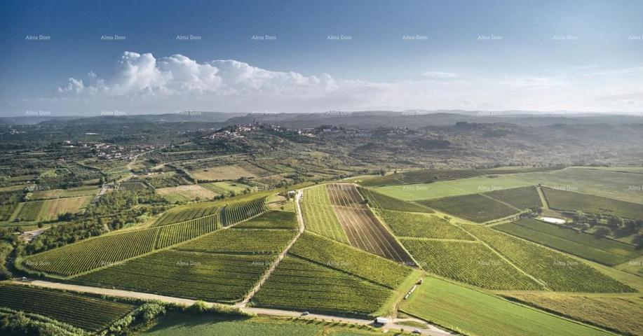 Građevinsko zemljište Građevinsko zemljište 500 m² s pogledom na more – okolica Brtonigle