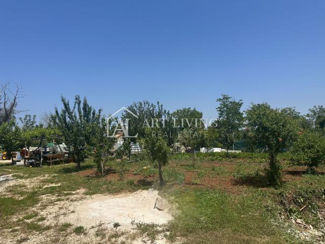 Umag, vrijedno poljoprivredno zemljište, 600 m od grada