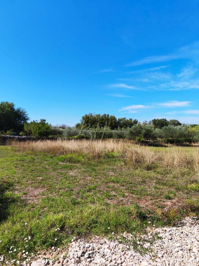 Exclusive - Grundstück Galižana, Vodnjan, 1.260m2