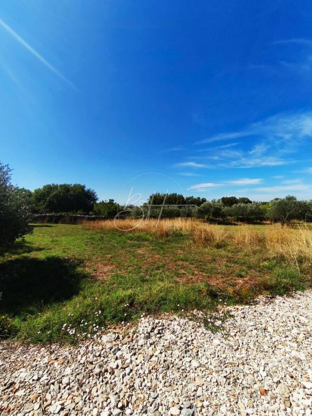 Exclusive - Grundstück Galižana, Vodnjan, 1.260m2